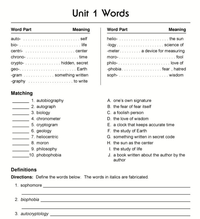 Mastering Vocabulary Word practice 1