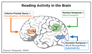 Reading Brain Activity